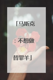 马斯克：不想做替罪羊
