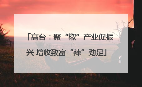 高台：聚“椒”产业促振兴 增收致富“辣”劲足