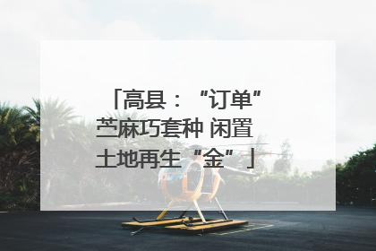 高县：“订单”苎麻巧套种 闲置土地再生“金”