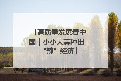 高质量发展看中国｜小小大蒜种出“辣”经济