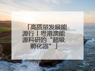 高质量发展能源行丨粤港澳能源科研的“超级孵化器”