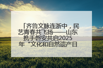 齐鲁文脉连浙中，民艺青春共飞扬——山东携手磐安共启2025年“文化和自然遗产日”系列活动
