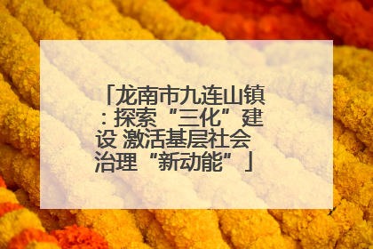 龙南市九连山镇：探索“三化”建设 激活基层社会治理“新动能”