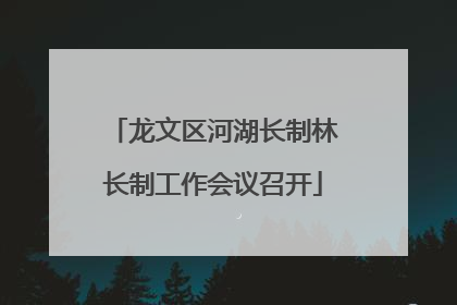 龙文区河湖长制林长制工作会议召开