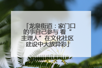 龙泉街道：家门口的事自己参与 看“主理人”在文化社区建设中大放异彩