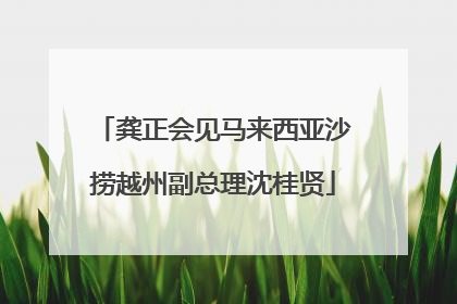龚正会见马来西亚沙捞越州副总理沈桂贤