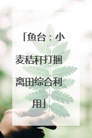 鱼台：小麦秸秆打捆离田综合利用