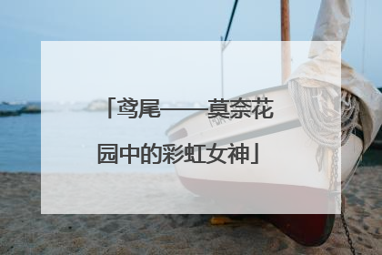鸢尾——莫奈花园中的彩虹女神