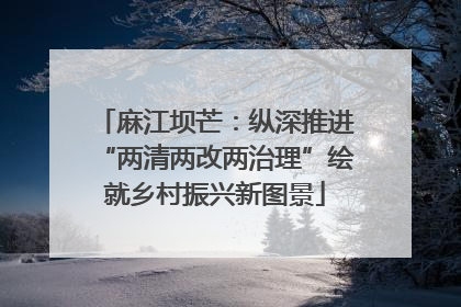 麻江坝芒：纵深推进“两清两改两治理”绘就乡村振兴新图景