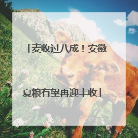 麦收过八成！安徽夏粮有望再迎丰收