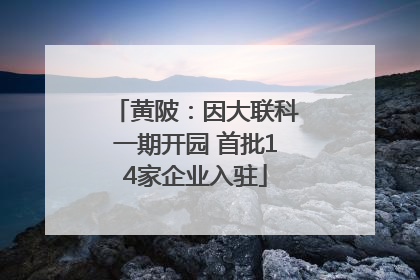 黄陂：因大联科一期开园 首批14家企业入驻
