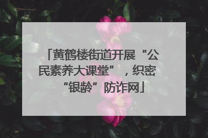 黄鹤楼街道开展“公民素养大课堂”，织密“银龄”防诈网