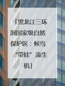 黑龙江三环泡国家级自然保护区：候鸟“带娃”添生机