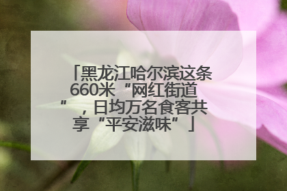 黑龙江哈尔滨这条660米“网红街道”，日均万名食客共享“平安滋味”