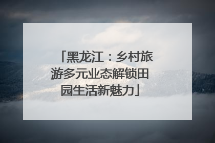 黑龙江：乡村旅游多元业态解锁田园生活新魅力