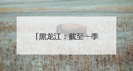 黑龙江：截至一季度企业发明专利有效量为1.8万件 同比增长10.6%