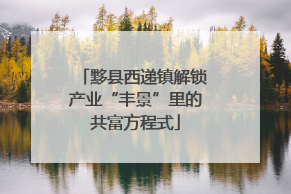 黟县西递镇解锁产业“丰景”里的共富方程式