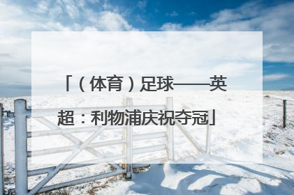 （体育）足球——英超：利物浦庆祝夺冠