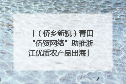 （侨乡新貌）青田“侨贸网络”助推浙江优质农产品出海