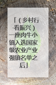 （乡村行·看振兴）一座肉牛小镇入选国家级农业产业强镇名单之后