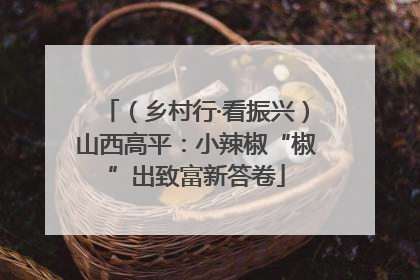 （乡村行·看振兴）山西高平：小辣椒“椒”出致富新答卷