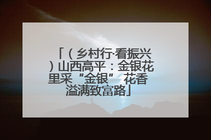 （乡村行·看振兴）山西高平：金银花里采“金银” 花香溢满致富路