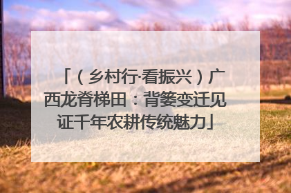 （乡村行·看振兴）广西龙脊梯田：背篓变迁见证千年农耕传统魅力
