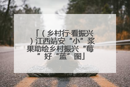 （乡村行·看振兴）江西靖安“小”浆果助绘乡村振兴“莓”好“蓝”图
