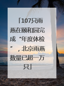 107只雨燕在颐和园完成“年度体检”，北京雨燕数量已超一万只