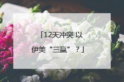 12天冲突 以伊美“三赢”？