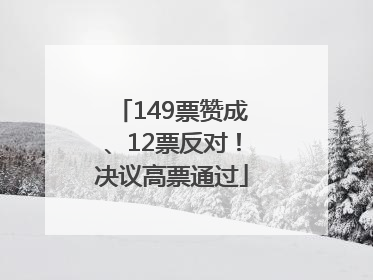 149票赞成、12票反对！决议高票通过