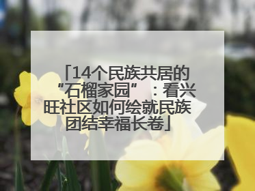 14个民族共居的“石榴家园”：看兴旺社区如何绘就民族团结幸福长卷