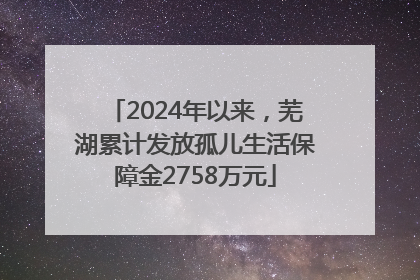 2024年以来，芜湖累计发放孤儿生活保障金2758万元