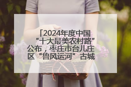 2024年度中国“十大最美农村路”公布，枣庄市台儿庄区“鲁风运河”古城文化廊道上榜！