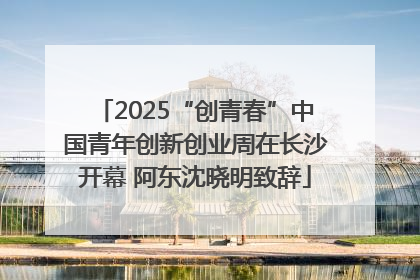 2025“创青春”中国青年创新创业周在长沙开幕 阿东沈晓明致辞