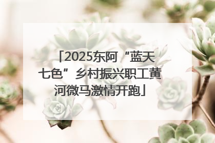 2025东阿“蓝天七色”乡村振兴职工黄河微马激情开跑