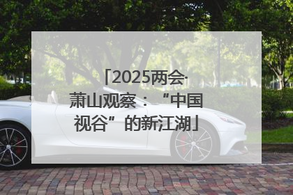 2025两会·萧山观察：“中国视谷”的新江湖