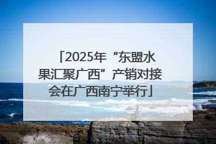 2025年“东盟水果汇聚广西”产销对接会在广西南宁举行