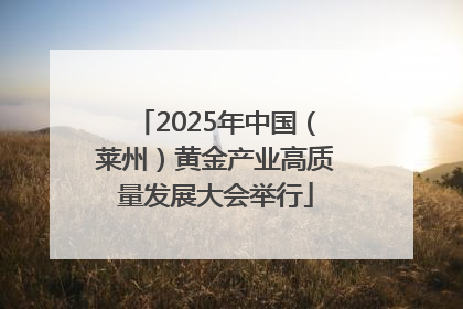 2025年中国（莱州）黄金产业高质量发展大会举行