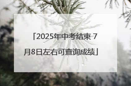 2025年中考结束 7月8日左右可查询成绩