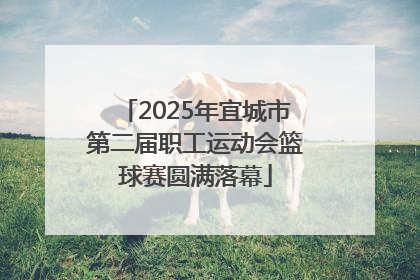2025年宜城市第二届职工运动会篮球赛圆满落幕