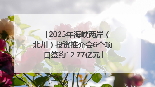 2025年海峡两岸（北川）投资推介会6个项目签约12.77亿元