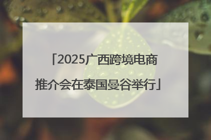 2025广西跨境电商推介会在泰国曼谷举行