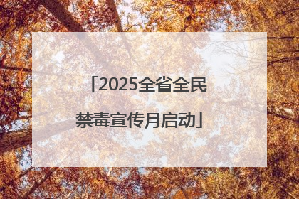 2025全省全民禁毒宣传月启动