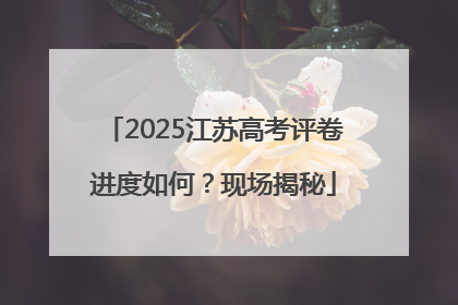 2025江苏高考评卷进度如何？现场揭秘