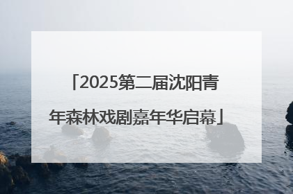 2025第二届沈阳青年森林戏剧嘉年华启幕