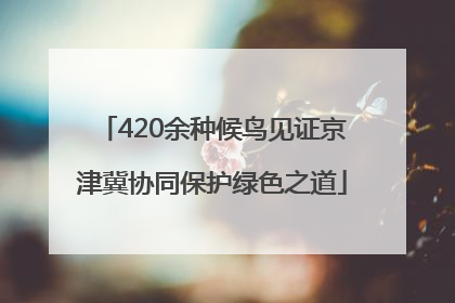 420余种候鸟见证京津冀协同保护绿色之道