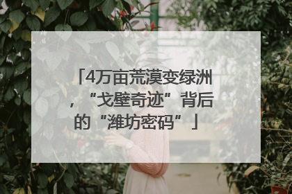 4万亩荒漠变绿洲，“戈壁奇迹”背后的“潍坊密码”