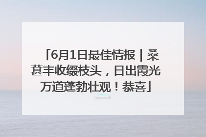 6月1日最佳情报｜桑葚丰收缀枝头，日出霞光万道蓬勃壮观！恭喜