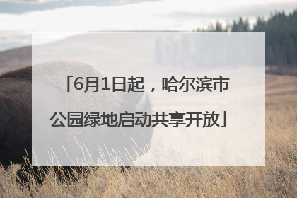 6月1日起，哈尔滨市公园绿地启动共享开放